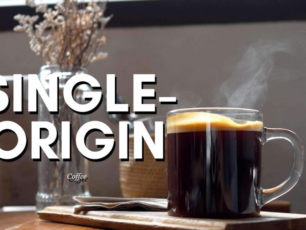 Everything You Need To Know Regarding Single Origin Coffees