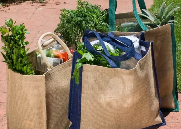 Unraveling The Green Promise: The Environmental Benefits of Custom Recycled Shopping Bags